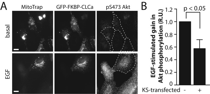 FIGURE 3: