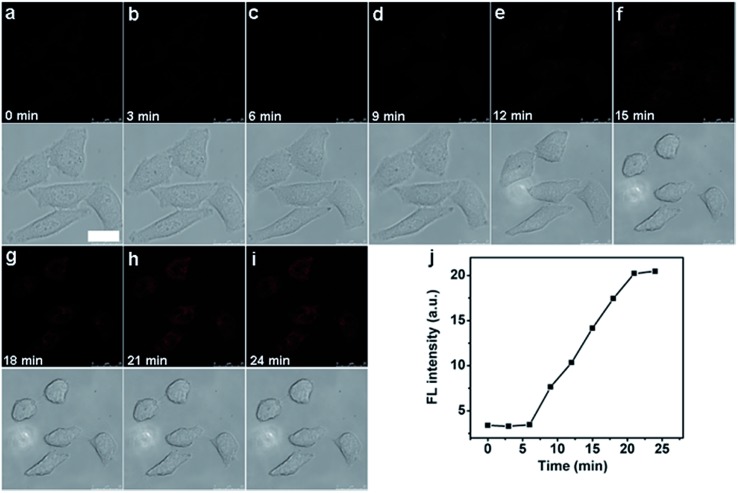 Fig. 8