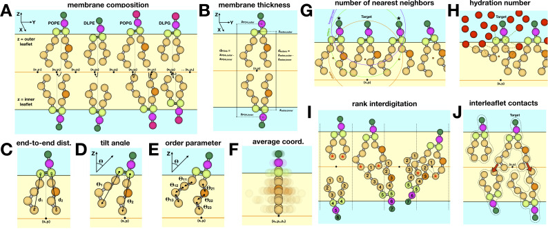 Figure 2—figure supplement 2.