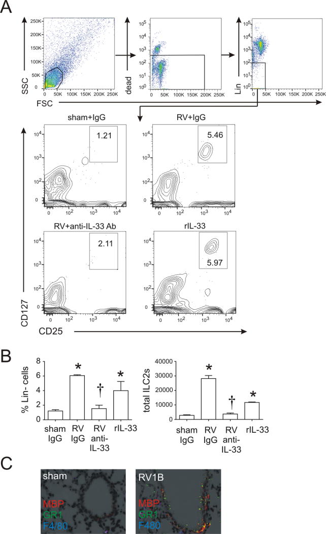 FIG 3