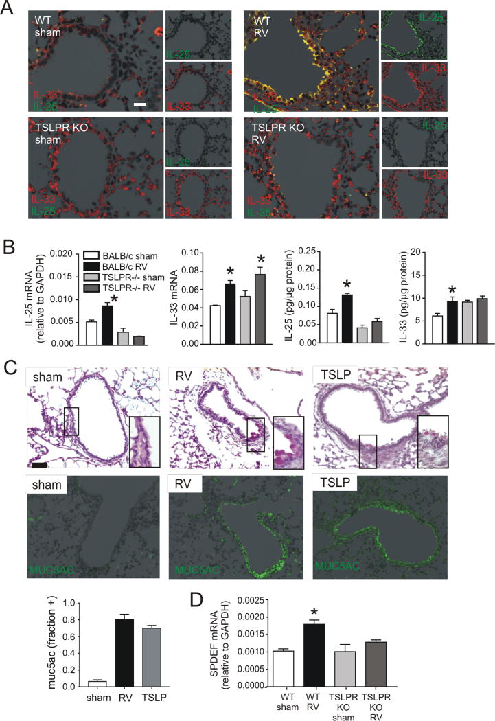 FIG 6