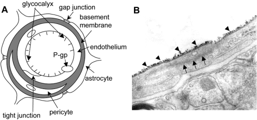 Fig. (1)