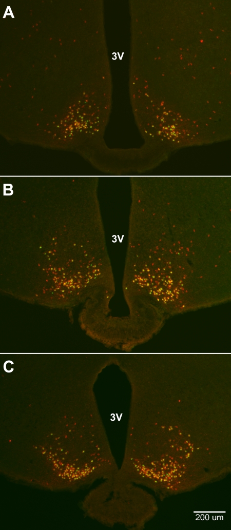 Fig. 3.