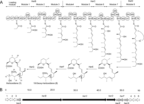 Fig 1