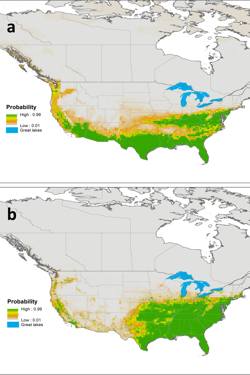 Figures 1a and 1b are maps, displaying the probability of Aedes Aegypti mosquitos and Aedes albopictus mosquitos, respectively, on a scale ranging from high: 0.99 to low: 0.01 and the great lakes in different regions. Figure 1c is a map, displaying the areas with no suitable niche, Aedes aegypti only, Aedes albopictus only, combined distribution, and great lakes.