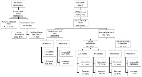 FIGURE 1—