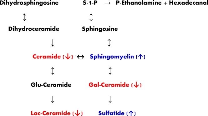 Fig 7