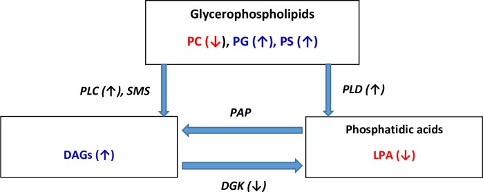 Fig 6