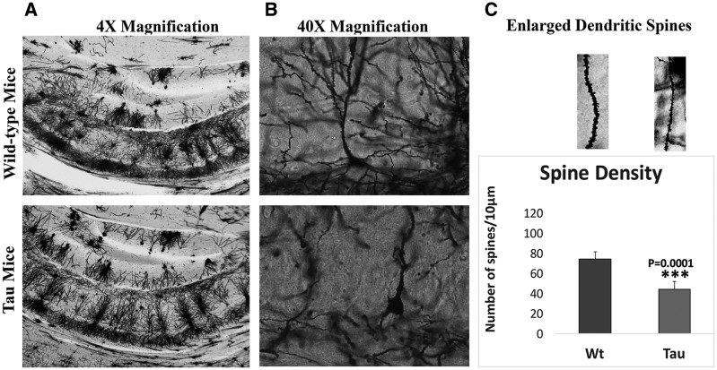 Figure 6.