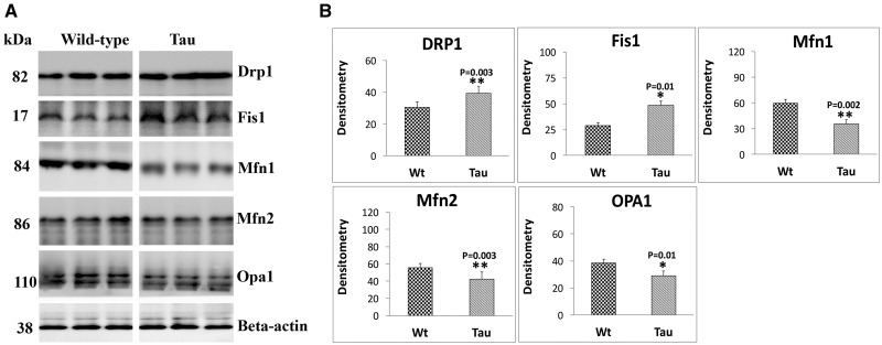 Figure 2.