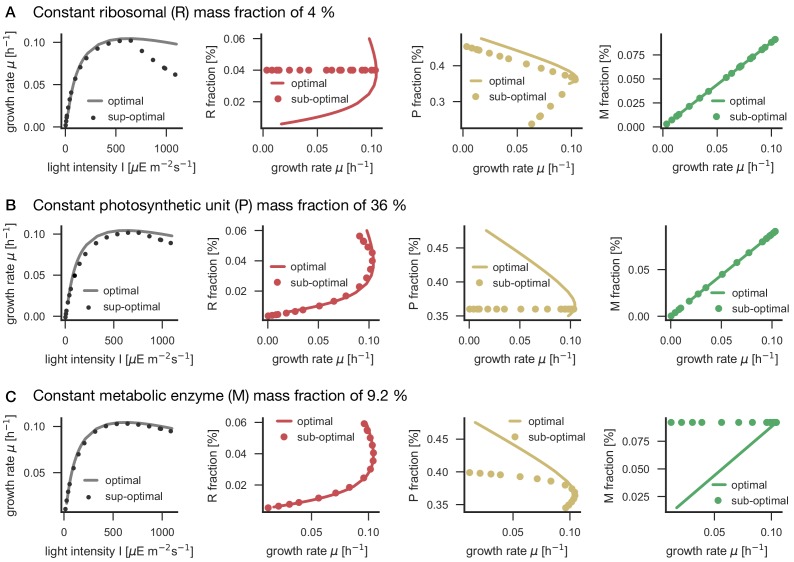 Figure 6—figure supplement 2.