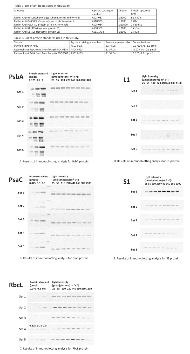 Figure 6—figure supplement 1.