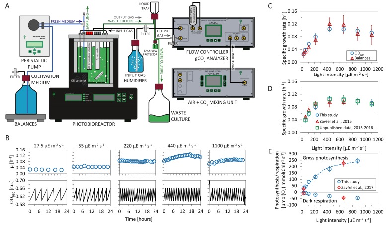 Figure 1.