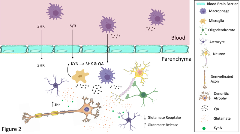 Figure 2: