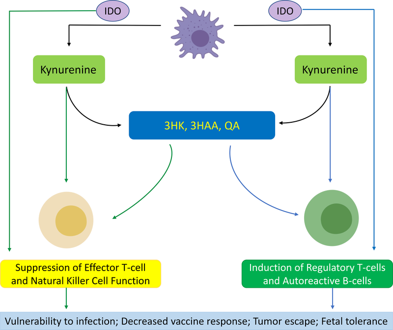 Figure 4: