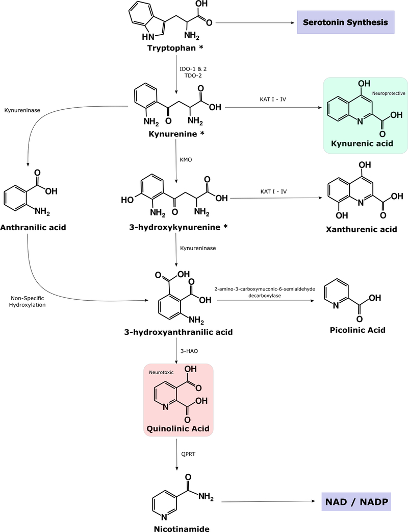 Figure 1: