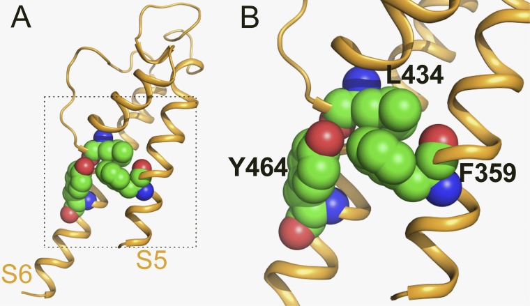 Figure 7.