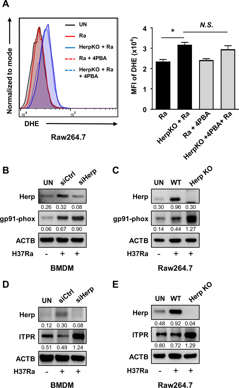 Fig 4