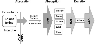 Fig. 4.