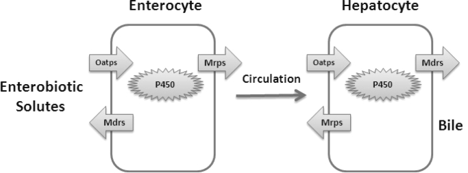 Fig. 3.