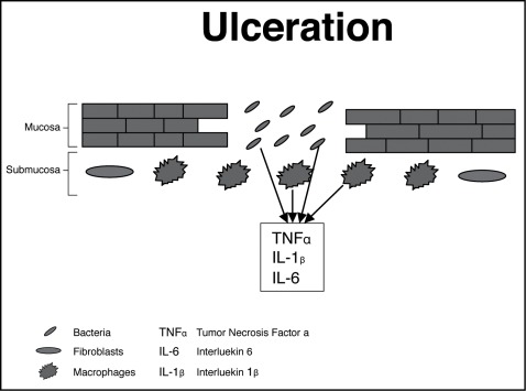 Figure 2: