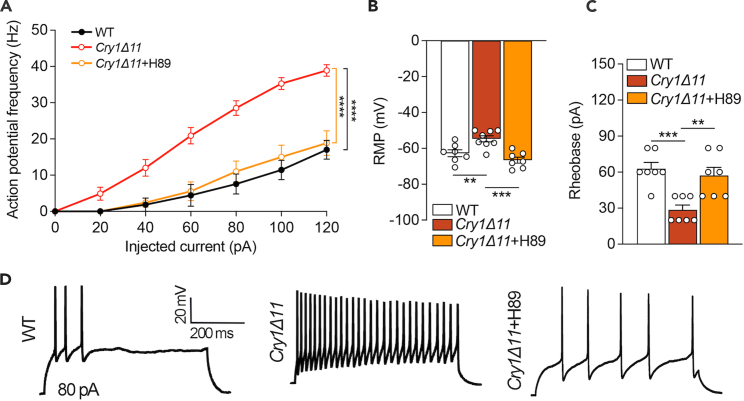 Figure 4