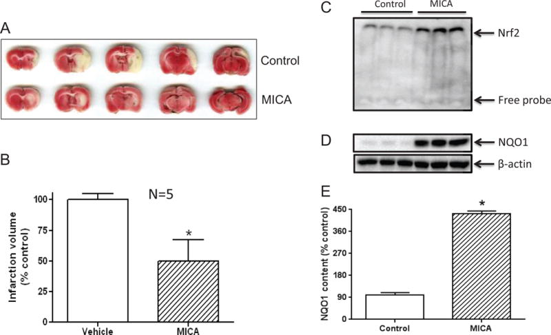 Fig. 8