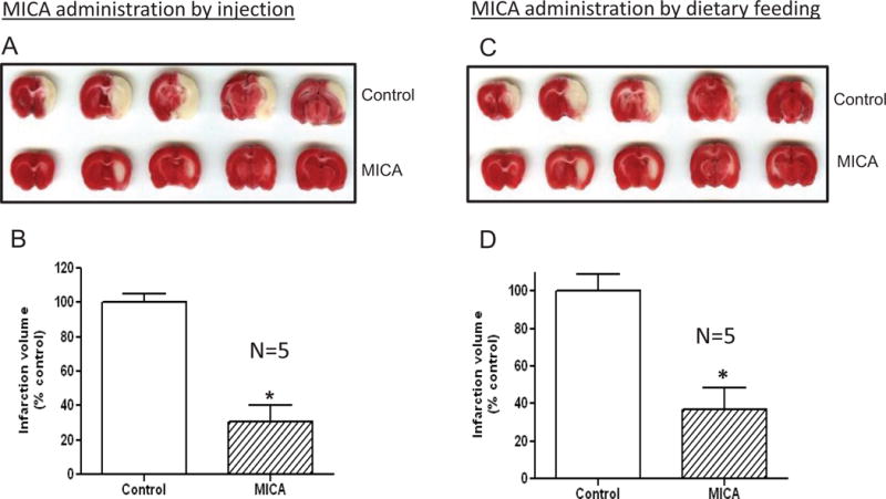 Fig.1