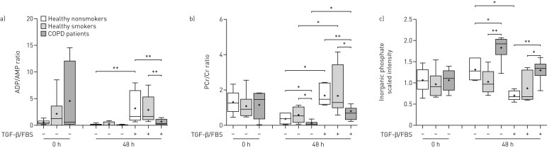 FIGURE 2