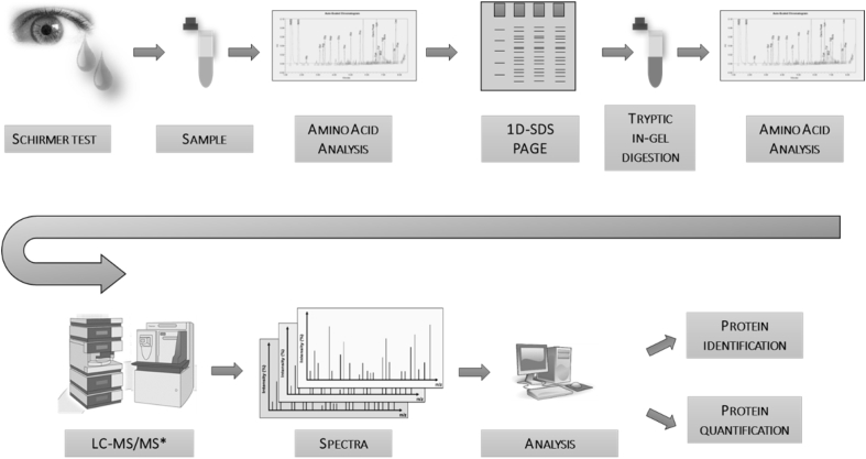 Fig. 1