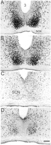 Fig. 10.