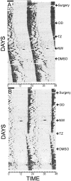 Fig. 4.