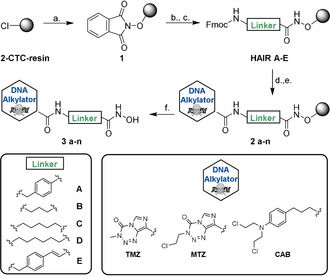 Scheme 1