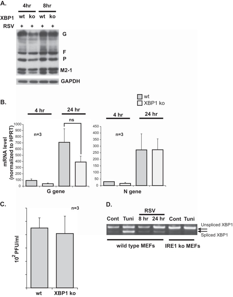 FIGURE 4.