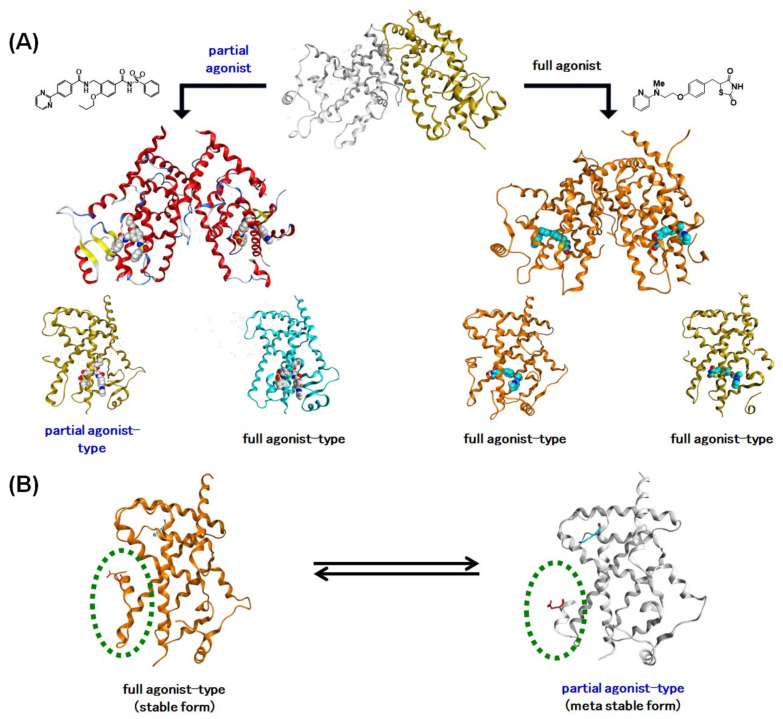 Figure 26