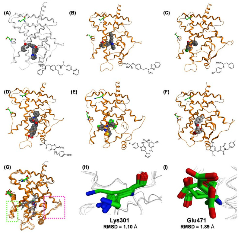 Figure 21