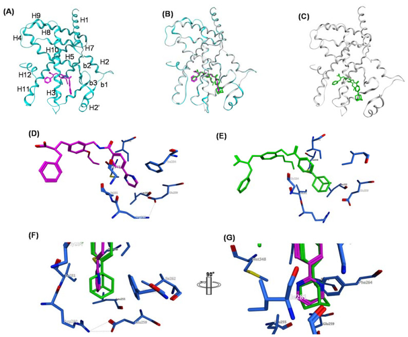 Figure 19