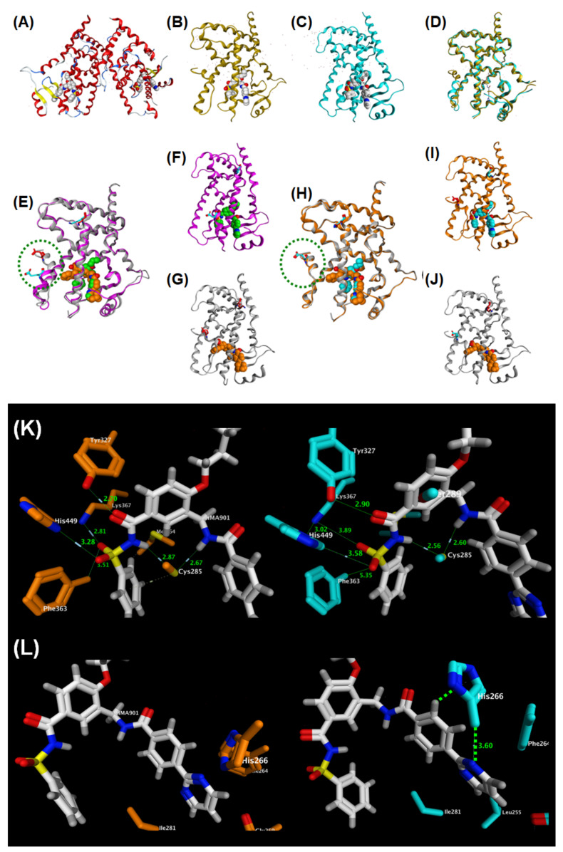 Figure 24