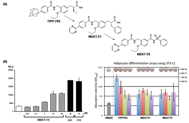 Figure 23