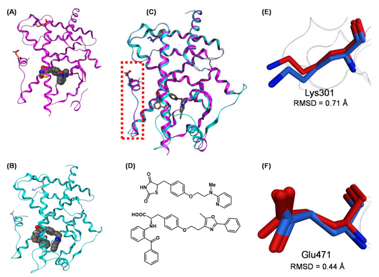 Figure 20