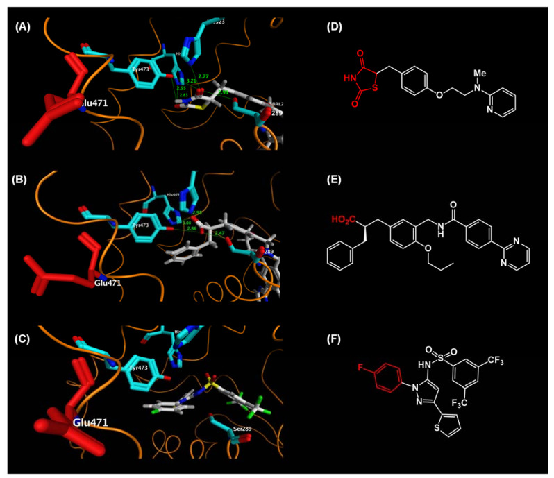 Figure 22