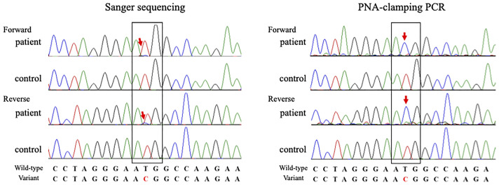 Figure 3