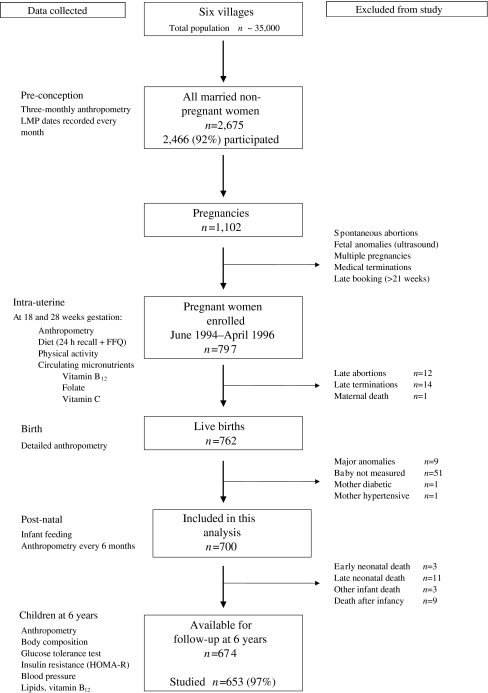 Fig. 1