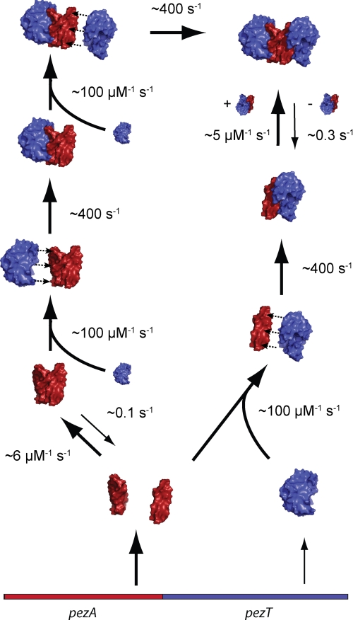 FIGURE 7.