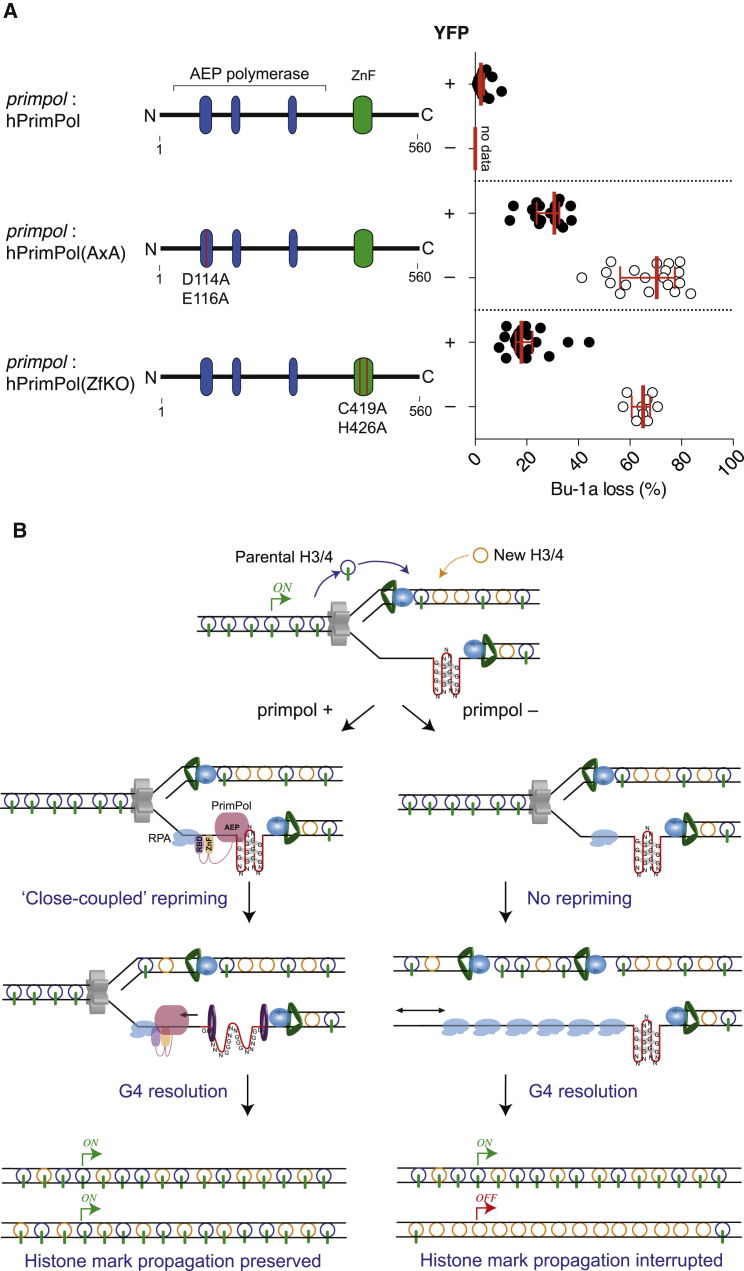 Figure 4