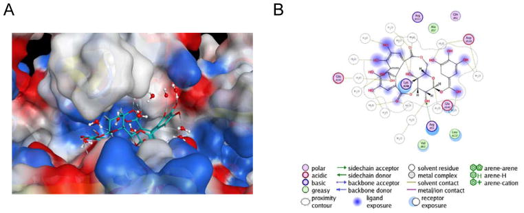 Figure 10