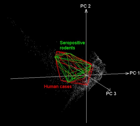 Fig. 5