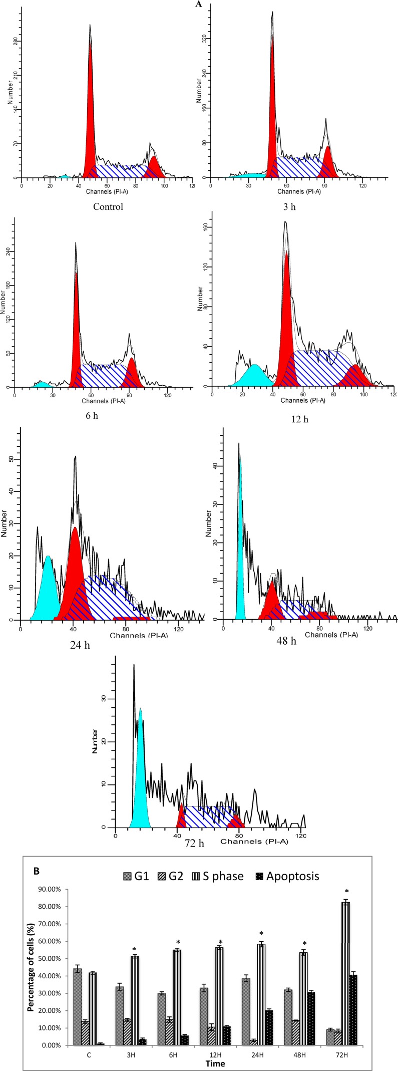 Figure 7