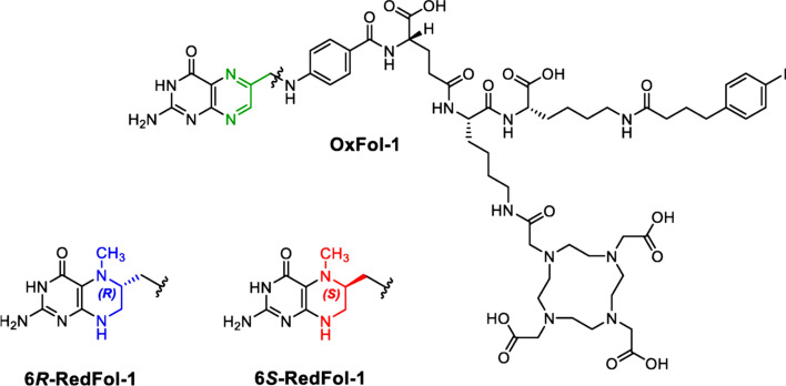 Fig. 5