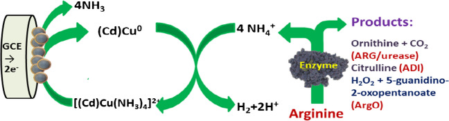 Fig. 2